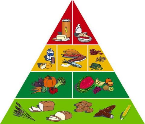 Palestra sobre alimenta&ccedil;&atilde;o saud&aacute;vel