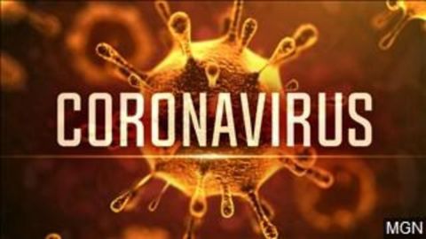 Informa&ccedil;&atilde;o: coronav&iacute;rus