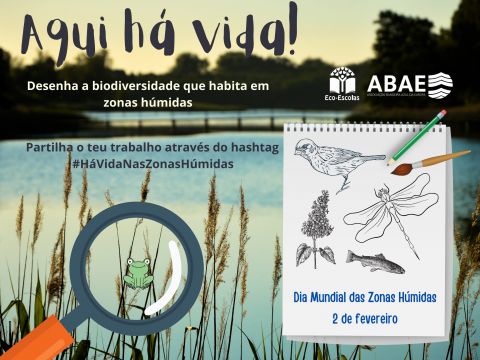 Novo desafio | Aqui h&aacute; vida! &ndash; Dia Mundial das Zonas H&uacute;midas