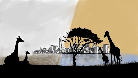 Altera&ccedil;&otilde;es clim&aacute;ticas
